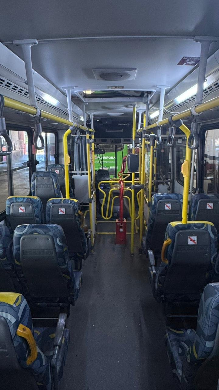 Mercedes-Benz Caio Apache Vip 2019